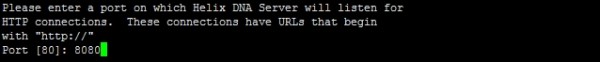 helix_dna_server_install_7.jpg