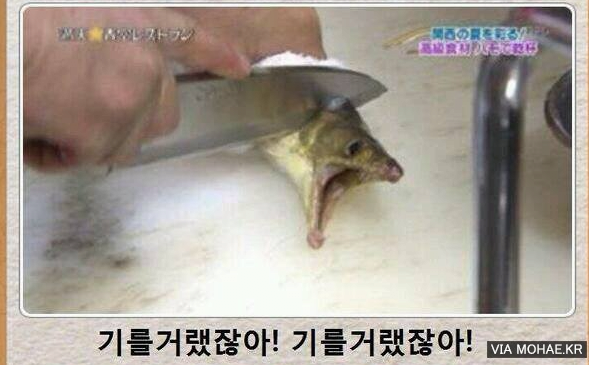 제목학원10.png