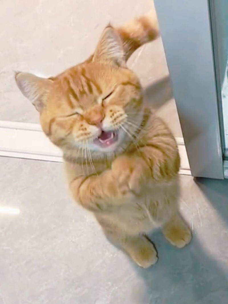 나 조금만주세요.jpg