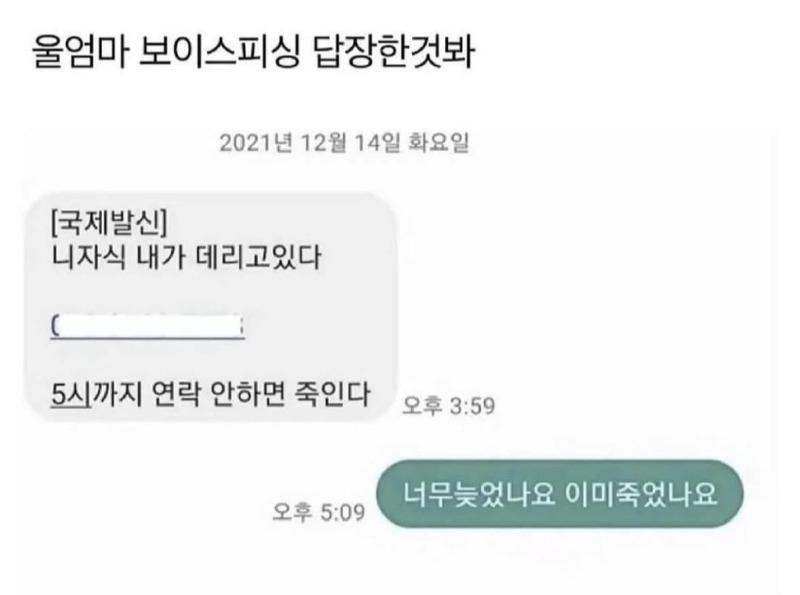 보이스 피싱답장.jpg