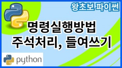 왕초보 파이썬(Python) 2. 명령실행방법, 주석처리, 들여쓰기