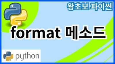 왕초보 파이썬(Python) 9. format 메소드