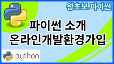 왕초보 파이썬(Python) 1. 파이썬 소개 및 온라인개발환경가입